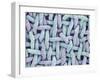 Woven Synthetic Fabric-Micro Discovery-Framed Photographic Print