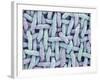 Woven Synthetic Fabric-Micro Discovery-Framed Photographic Print