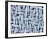 Woven Synthetic Fabric-Micro Discovery-Framed Photographic Print