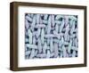 Woven Synthetic Fabric-Micro Discovery-Framed Photographic Print