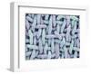 Woven Synthetic Fabric-Micro Discovery-Framed Photographic Print