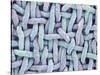 Woven Synthetic Fabric-Micro Discovery-Stretched Canvas