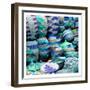 Woven Togehter 2-Sheldon Lewis-Framed Art Print