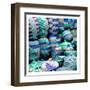 Woven Togehter 2-Sheldon Lewis-Framed Art Print