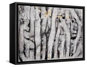 Wrack Lines I-Tyson Estes-Framed Stretched Canvas