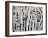 Wrack Lines I-Tyson Estes-Framed Giclee Print