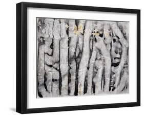 Wrack Lines I-Tyson Estes-Framed Giclee Print