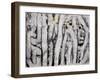 Wrack Lines I-Tyson Estes-Framed Giclee Print