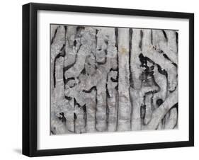 Wrack Lines III-Tyson Estes-Framed Giclee Print