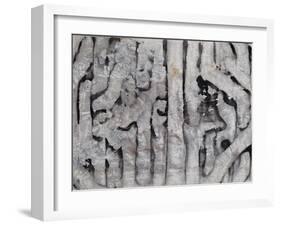 Wrack Lines III-Tyson Estes-Framed Giclee Print