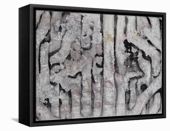 Wrack Lines III-Tyson Estes-Framed Stretched Canvas