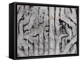 Wrack Lines III-Tyson Estes-Framed Stretched Canvas