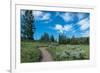 Wraith Falls Trail, Yellowstone National Park, Wyoming, USA-Roddy Scheer-Framed Photographic Print