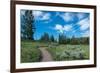 Wraith Falls Trail, Yellowstone National Park, Wyoming, USA-Roddy Scheer-Framed Photographic Print