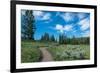 Wraith Falls Trail, Yellowstone National Park, Wyoming, USA-Roddy Scheer-Framed Photographic Print