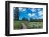 Wraith Falls Trail, Yellowstone National Park, Wyoming, USA-Roddy Scheer-Framed Photographic Print