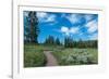 Wraith Falls Trail, Yellowstone National Park, Wyoming, USA-Roddy Scheer-Framed Photographic Print