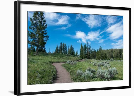 Wraith Falls Trail, Yellowstone National Park, Wyoming, USA-Roddy Scheer-Framed Photographic Print