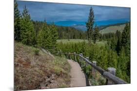 Wraith Falls, Yellowstone National Park, Wyoming, USA-Roddy Scheer-Mounted Photographic Print