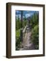 Wraith Falls, Yellowstone National Park, Wyoming, USA-Roddy Scheer-Framed Photographic Print