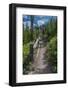 Wraith Falls, Yellowstone National Park, Wyoming, USA-Roddy Scheer-Framed Photographic Print