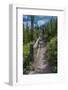 Wraith Falls, Yellowstone National Park, Wyoming, USA-Roddy Scheer-Framed Photographic Print