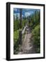 Wraith Falls, Yellowstone National Park, Wyoming, USA-Roddy Scheer-Framed Photographic Print