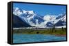 Wrangell-St. Elias National Park and Preserve, Alaska.-Andrushko Galyna-Framed Stretched Canvas