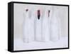 Wrapped Bottles 3, 2003-Lincoln Seligman-Framed Stretched Canvas