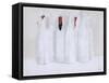 Wrapped Bottles 3, 2003-Lincoln Seligman-Framed Stretched Canvas