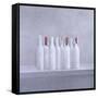 Wrapped Bottles on Grey, 2005-Lincoln Seligman-Framed Stretched Canvas