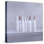 Wrapped Bottles on Grey, 2005-Lincoln Seligman-Stretched Canvas