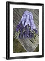 Wrapped Bouquets of Dried Lavender at Lavender Festival, Sequim, Washington, USA-Merrill Images-Framed Photographic Print