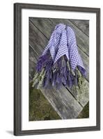 Wrapped Bouquets of Dried Lavender at Lavender Festival, Sequim, Washington, USA-Merrill Images-Framed Photographic Print