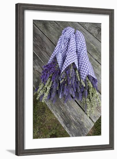 Wrapped Bouquets of Dried Lavender at Lavender Festival, Sequim, Washington, USA-Merrill Images-Framed Photographic Print