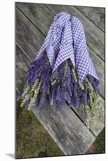 Wrapped Bouquets of Dried Lavender at Lavender Festival, Sequim, Washington, USA-Merrill Images-Mounted Photographic Print