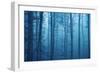Wrapped in Blue-Philippe Sainte-Laudy-Framed Photographic Print