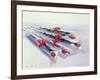 Wrapped Roses, 1987 (W/C on Paper)-Lucy Willis-Framed Giclee Print