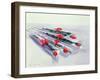 Wrapped Roses, 1987 (W/C on Paper)-Lucy Willis-Framed Giclee Print