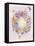 Wreath With Butterflies-Olga And Alexey Drozdov-Framed Stretched Canvas