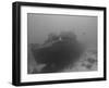 Wreck Diving on the Superior Producer in Curacao-Stocktrek Images-Framed Photographic Print