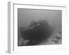 Wreck Diving on the Superior Producer in Curacao-Stocktrek Images-Framed Photographic Print
