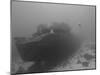 Wreck Diving on the Superior Producer in Curacao-Stocktrek Images-Mounted Photographic Print