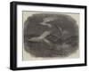 Wreck of an Egyptian Vessel of War in the Black Sea-null-Framed Giclee Print