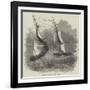 Wreck of Hm Steam-Vessel Flamer-null-Framed Giclee Print
