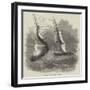 Wreck of Hm Steam-Vessel Flamer-null-Framed Giclee Print