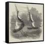 Wreck of Hm Steam-Vessel Flamer-null-Framed Stretched Canvas