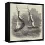 Wreck of Hm Steam-Vessel Flamer-null-Framed Stretched Canvas