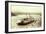 Wreck of Regulator-null-Framed Photographic Print