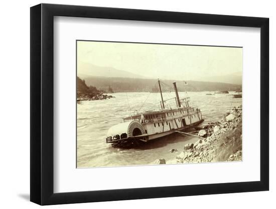 Premium Photographic Print, , large